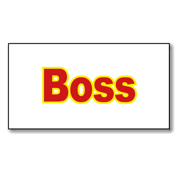 Boss 12
