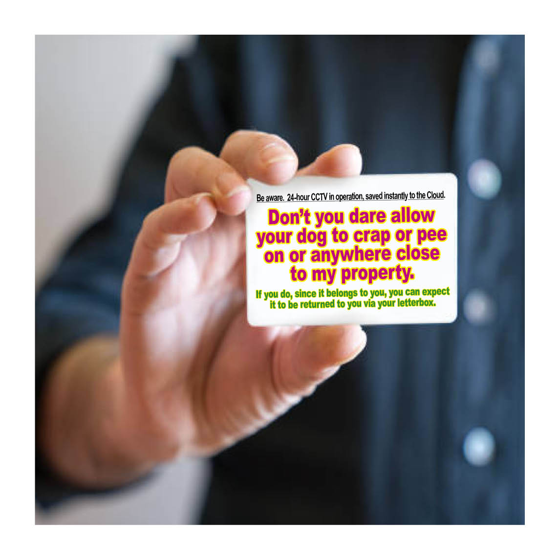 Don't you dare allow your dog to crap or pee
